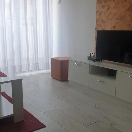 Borko 1-2 로즈니차