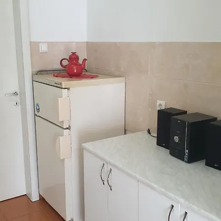 Borko 1-2 아파트 로즈니차