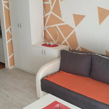 Borko 1-2 로즈니차