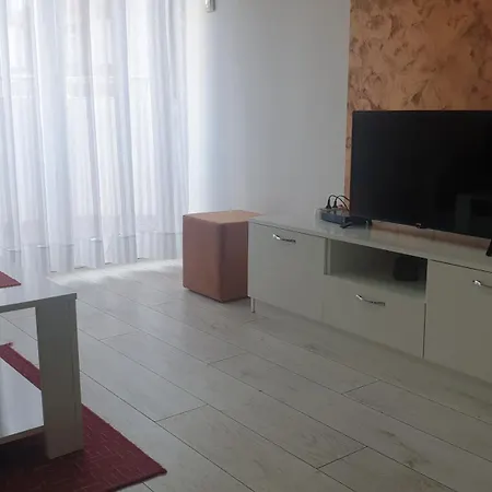 Apartment Borko 1-2 *