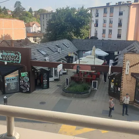 Apartment Borko 1-2 Loznica