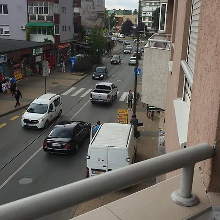 Borko 1-2 * 로즈니차